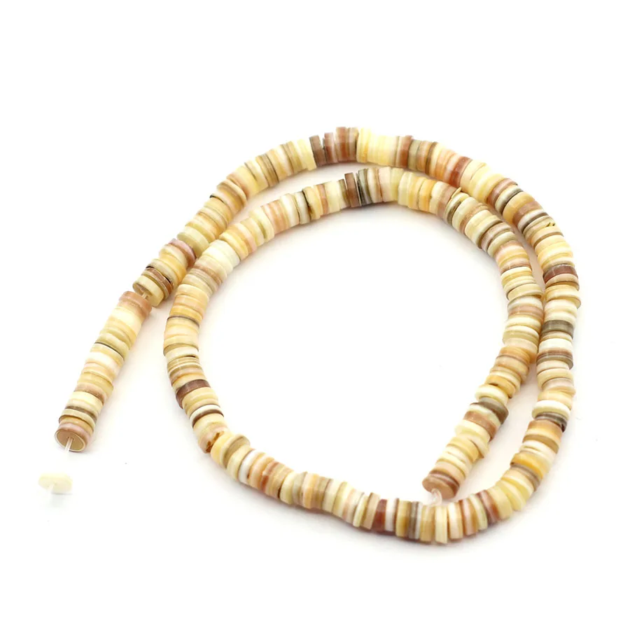 Natural Shell Septal Bead Jewelry Making Kit