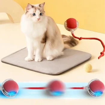 Interactive Rolling Cat Toy 2