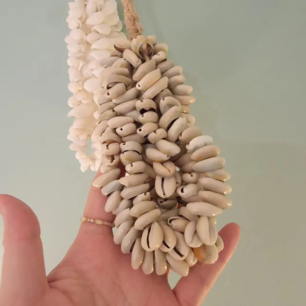 Bohemian Round Sea Shell Dreamcatcher