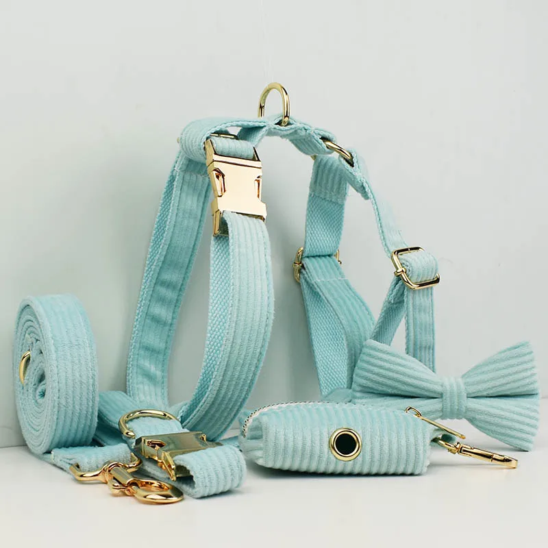 Ensemble collier et laisse en velours côtelé vert lac pour chiens, plaque signalétique gravée personnalisée, fournitures pour animaux de compagnie, laisse pour chien en velours côtelé 19 - AliExpress