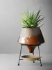 European Ceramic Flower Pot Decoration Metal Stand Abstract Irregular Vase Succulent Plant Flower Pot Modern Home Decoration New 1