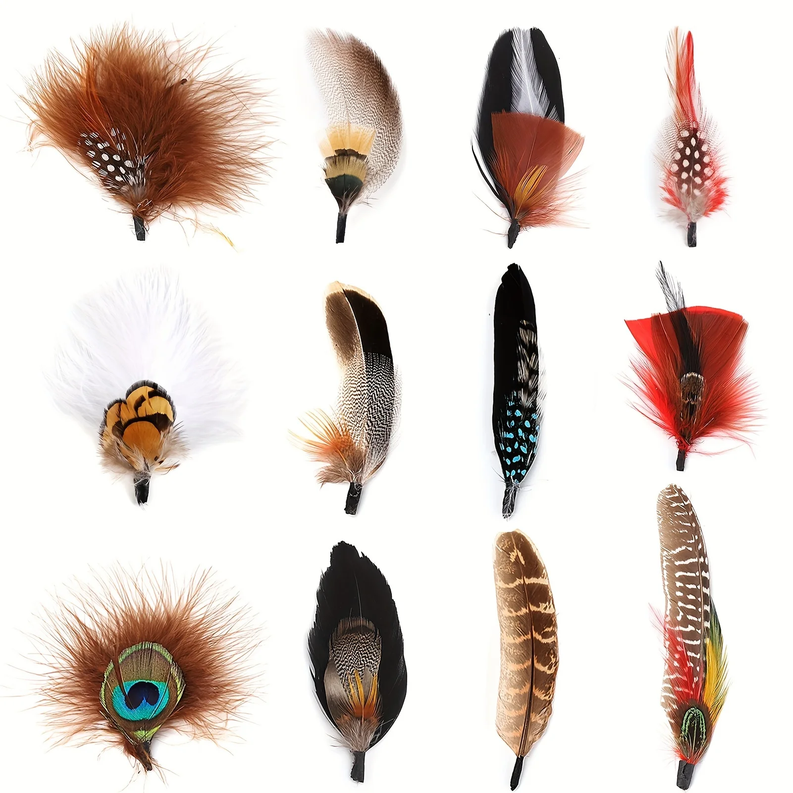 Description Picture 4 of item10-12 Pcs Natural Peacock Feathers for Hats – Colorful Real Feathers for DIY Fedora, Cowboy, and Party Hats
