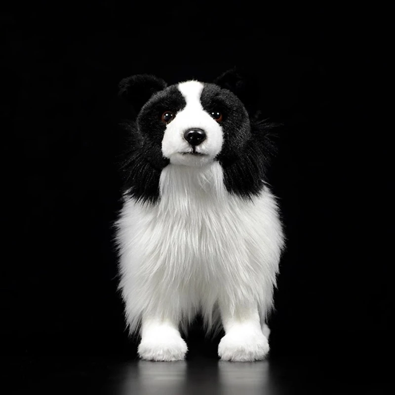 S9f72190bd29d47f6a3e78869ecc43244h - Border Collie Gifts