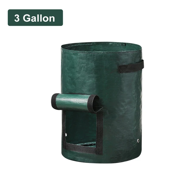 3 Gallon