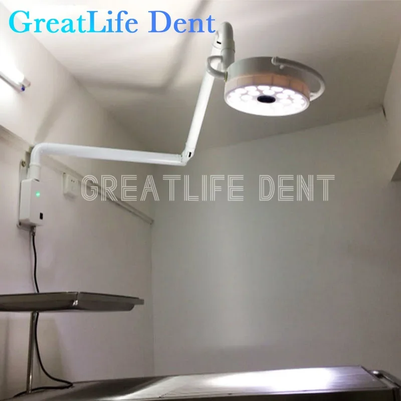 مصباح أسنان طبي LED بـ 24 مصباح من GreatLife، مصباح جراحي بدون ظل لعيادات طب الأسنان، مصباح طبي للأسنان