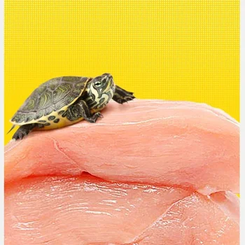 Premium Turtle Food with Dried Shrimp & Mealworms - Image 6