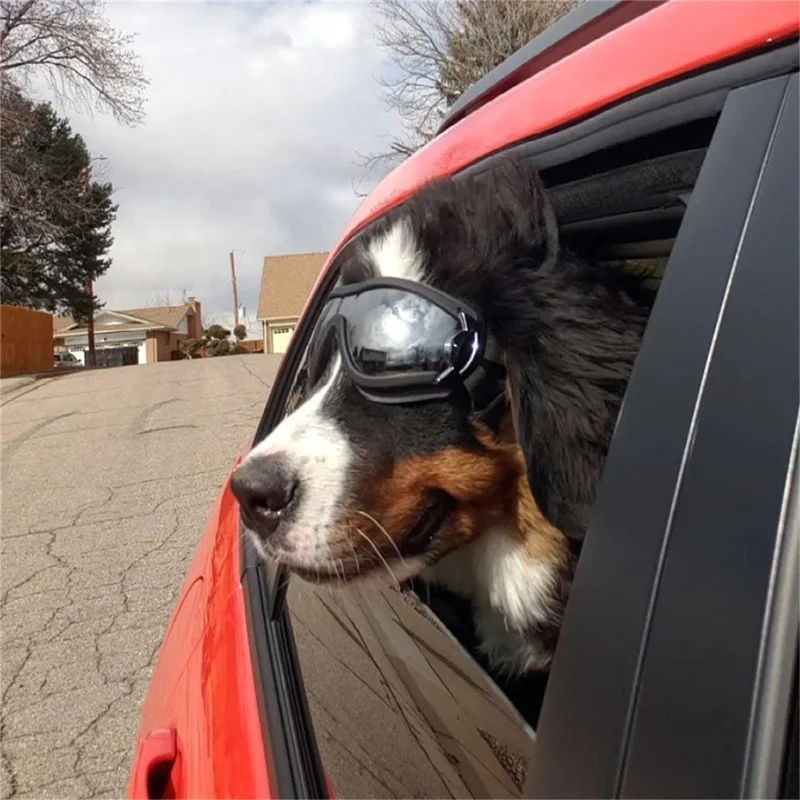 Dog Goggles for Small Breed Dog Sunglasses Dog UV Sunglasses Windproof Soft Frame Adjustable Straps for Small/Medium Dogs Puppy 2
