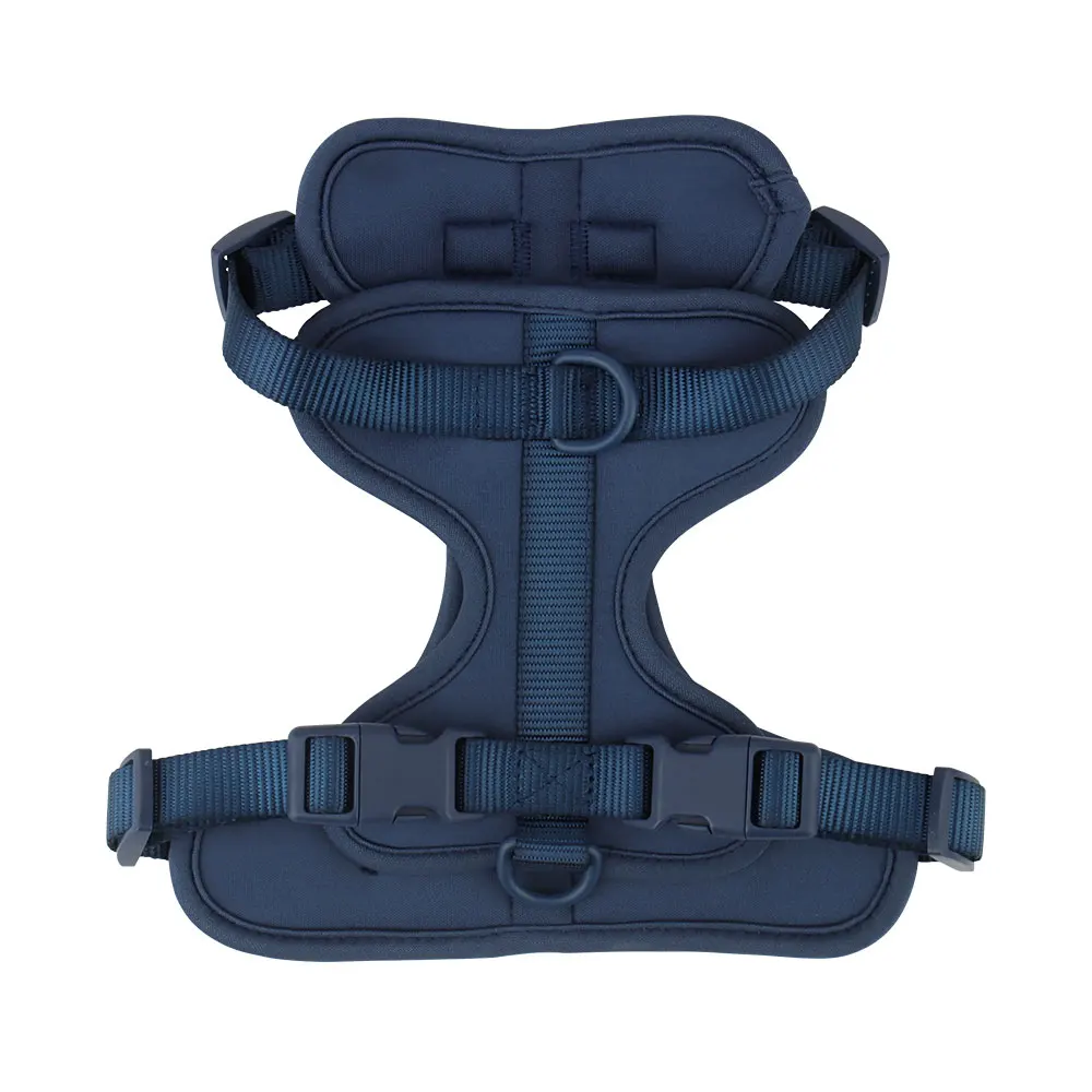 Breathable Lightweight Dog Harness with Adjustable Chest Strap for Outdoor Walks and Training