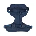 Darkblue