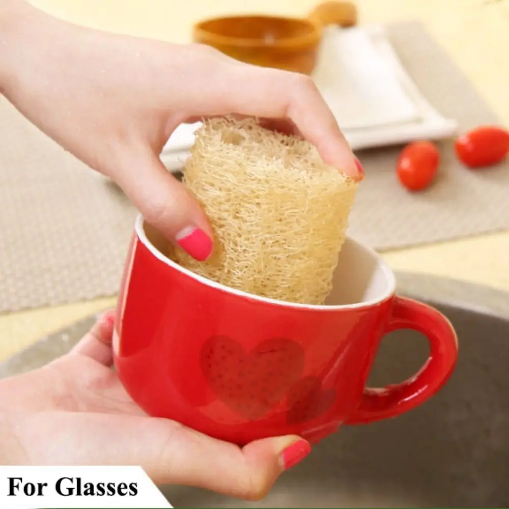 Esponja de Luffa Natural