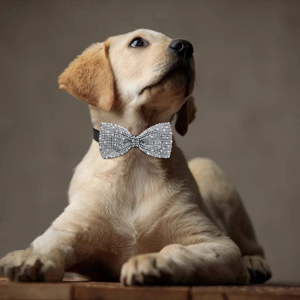 Pajarita para perros y gatos, lazo para perros, Collar de aseo deslizante brillante con diamantes, productos para mascotas de boda, accesorios para perros