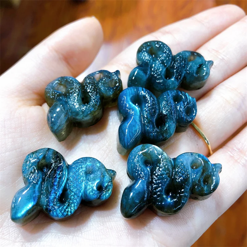 5Pcs Natural Labradorite Snake Carving Healing Fengshui Lucky Stone Collection Decorazione Per La Casa Regali Di Compleanno