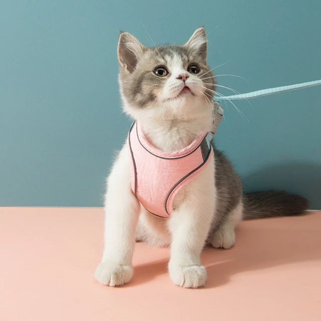 Cat Harness Leash Set Breathable Kitten Cats 3