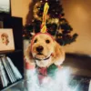 Christmas Pet Headwear Party Dress Up Antlers Hair Hoops Pet Supplies Christmas Hat Headbands Party Cosplay Accessories 5