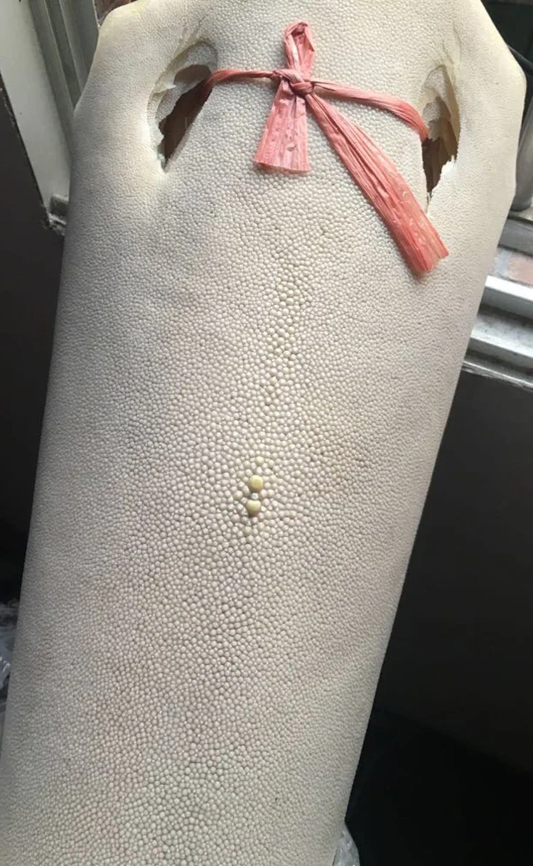  ȭƮ    , DIY  ,  Į   ׿ ,  