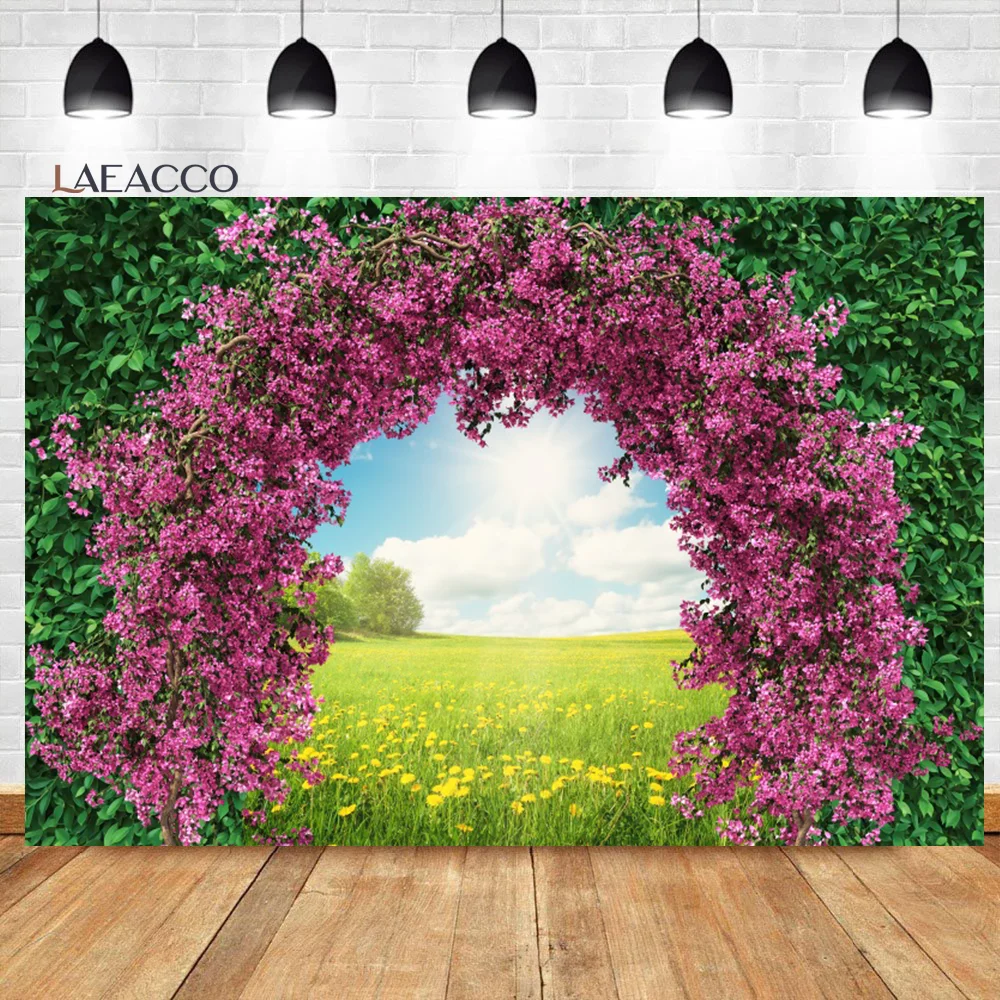 Laeacco     ̺    ɹ  ǳ,   ʻȭ  