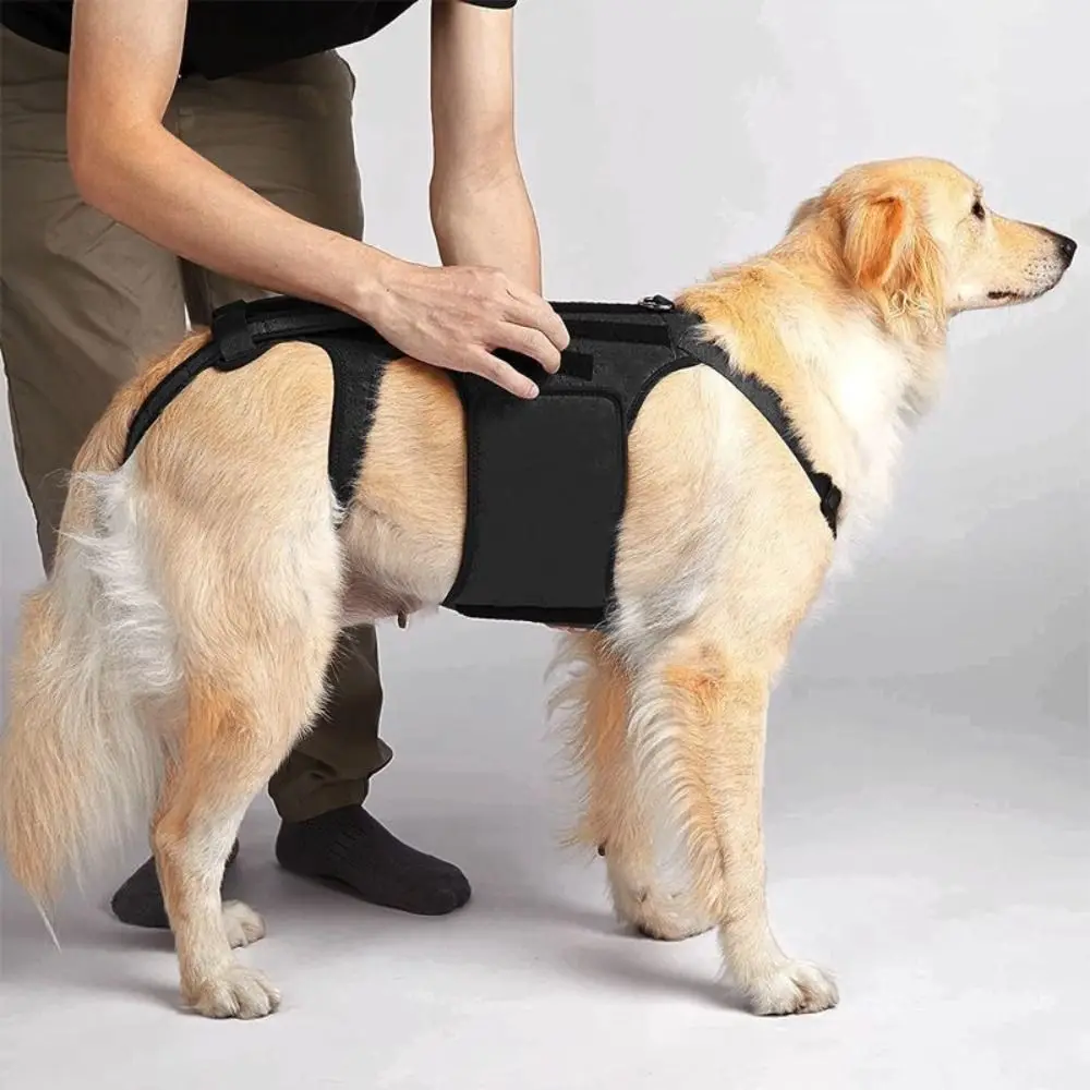 Comfortable Black Dog Back Support Vest Adjustable Breathable Pet ...