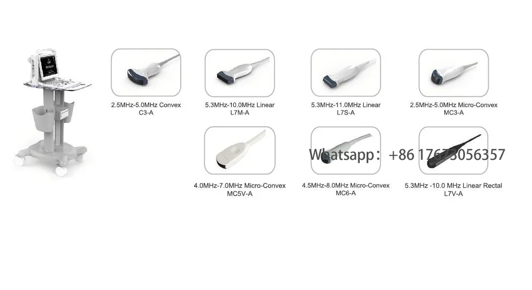 Рисунок 2 - Медицинское животное больница Chison