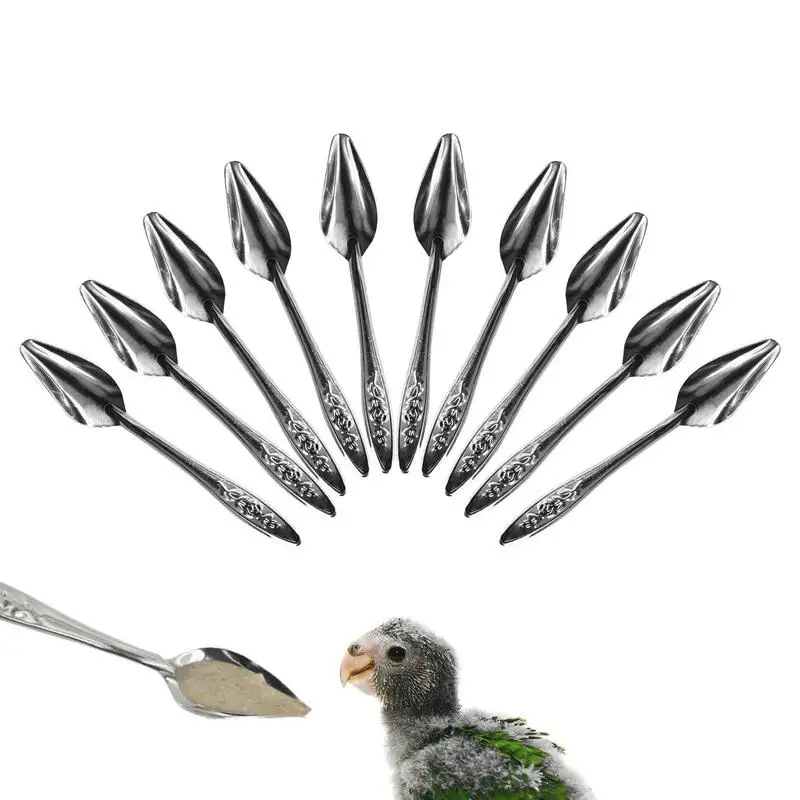 10pcs Portable baby bird feeding water spoon bird parrot feeding spoon stainless steel water milk powder feeder spoon bird food 4