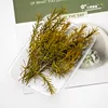 Height 10cm Simulation Long Leaves Reed Grass Model Diy Military Sand Table HO Railway Train Scene Layout Diorama Kits 3