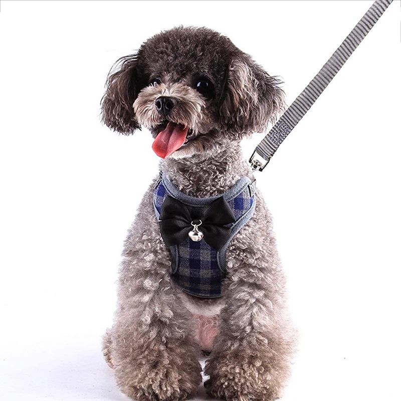 Puppy Cats Rabbits Harness and Leash Set