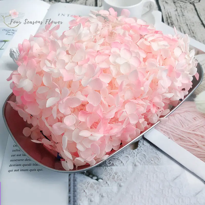 

15g/Box Hydrangea Dried Flowers Natural Fresh Preserved Flower Heads For Craft DIY Material Accessorie Wedding centerpieces