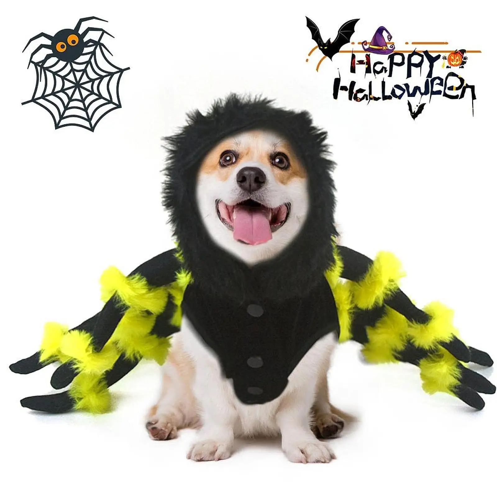 Dog Cat Spider Costume Dress up Decoration Pet Costume Spider Pets Outfit Accessories for Halloween Cosplay Party Festival Dogs