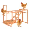 19518-eee39c.jpg Chicken Activity Play Chicken Perches for Poultry Run, Swing Stand, Wood Chicken Toy for 3-4 Birds, Wooden Chicken Coops Accessory with Multiple Perches & Ladder & Feeder