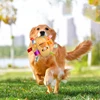 Plush Dog Vocal Toy Ball Funny Interactive Pet Toys with Bells Cleaning Tooth Chew Toy For Small Large Dogs Cats Puppy Plaything 3