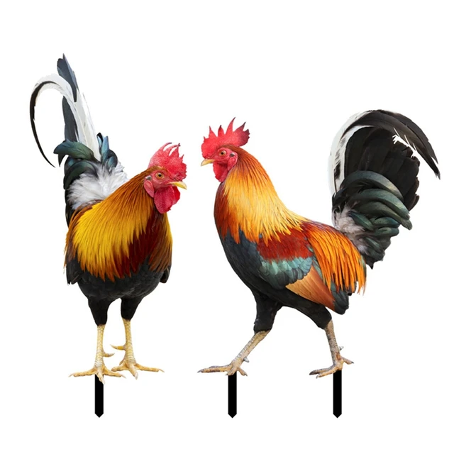 1Dboutdoor Kerti Tét Kakas Otthoni Díszdekoráció Akril Kétoldalas Csirke Baromfi Szobor Udvari Udvar Dekoráció - Image 5