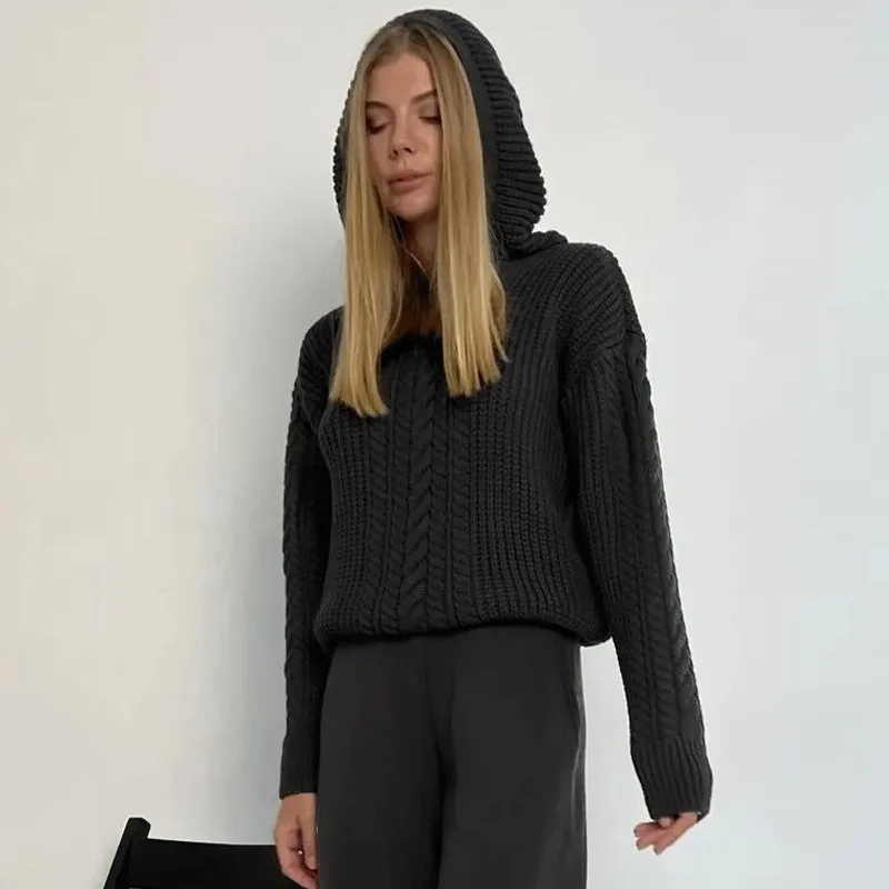 Knitted Hoodies Sweater Women Loose Long Sleeve Autumn Pullover Woman Street Casual 2025 Baggy Coat Female Winter Clothes