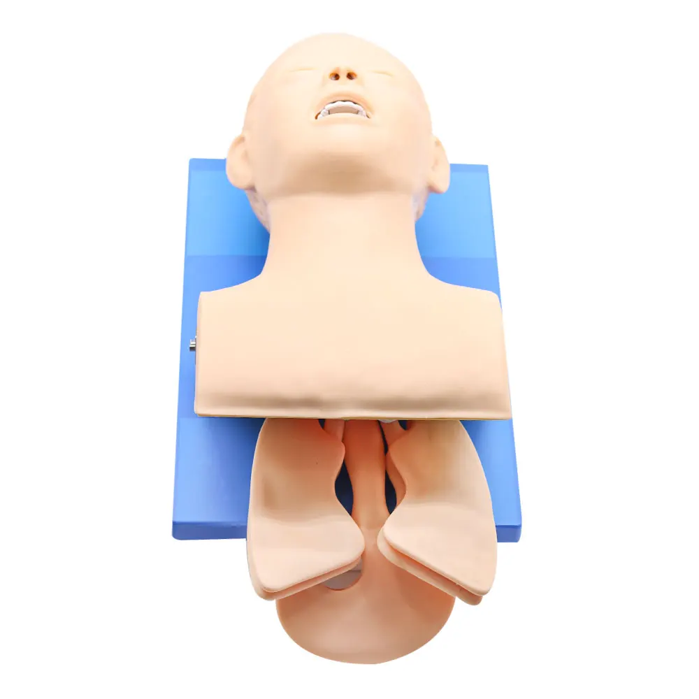 Electronic Human Tracheal Training Model Intubation Training Manikin with Tooth Pressure Alarm