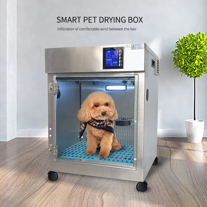 Hot Sell New Stainless 304# Automatic, Cat Dog Dryer Equipment Pet Dryer Box