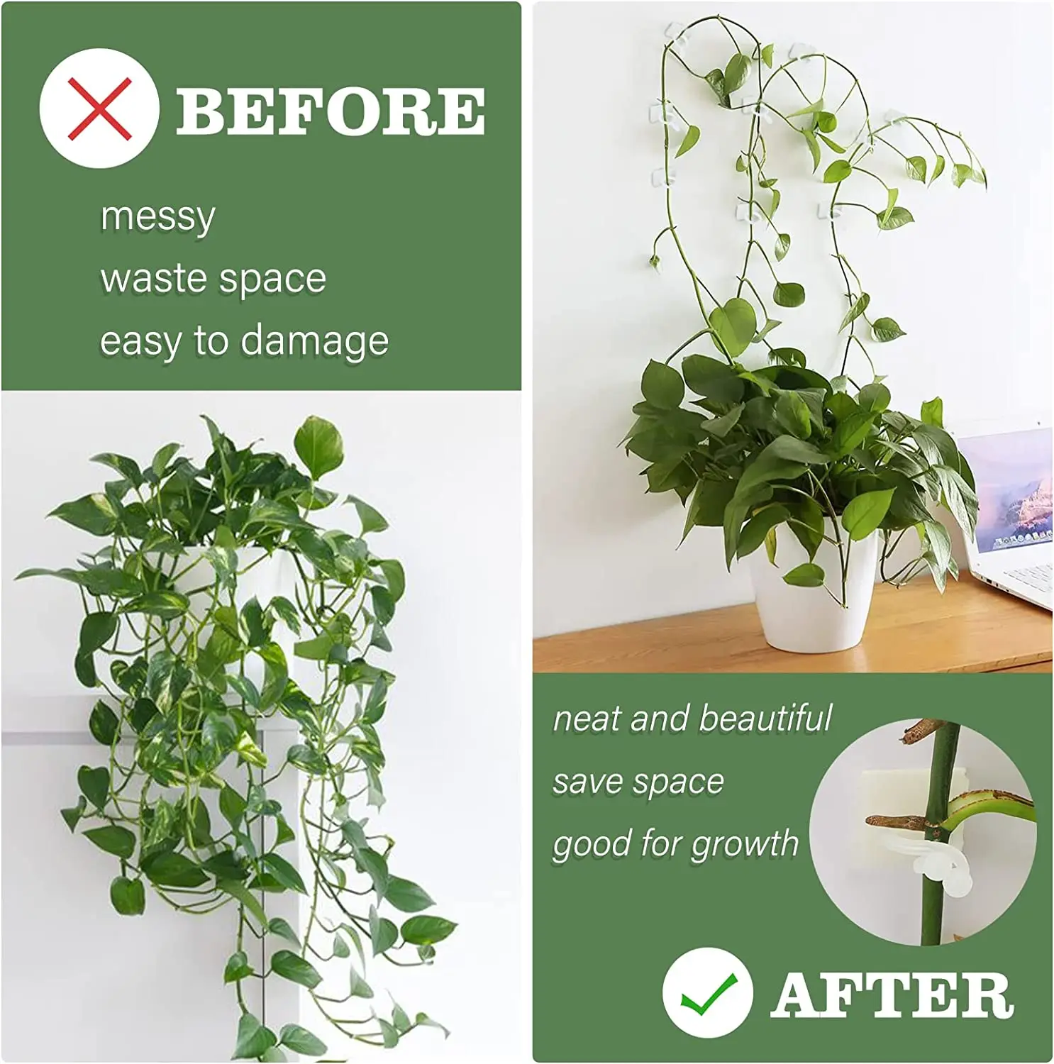 Self-Adhesive Plant Wall Climbing Clips - Versatile Garden Vine Support