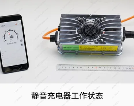 Suitable for Qiulong Light Bee X S 48V 60V10A silent charger