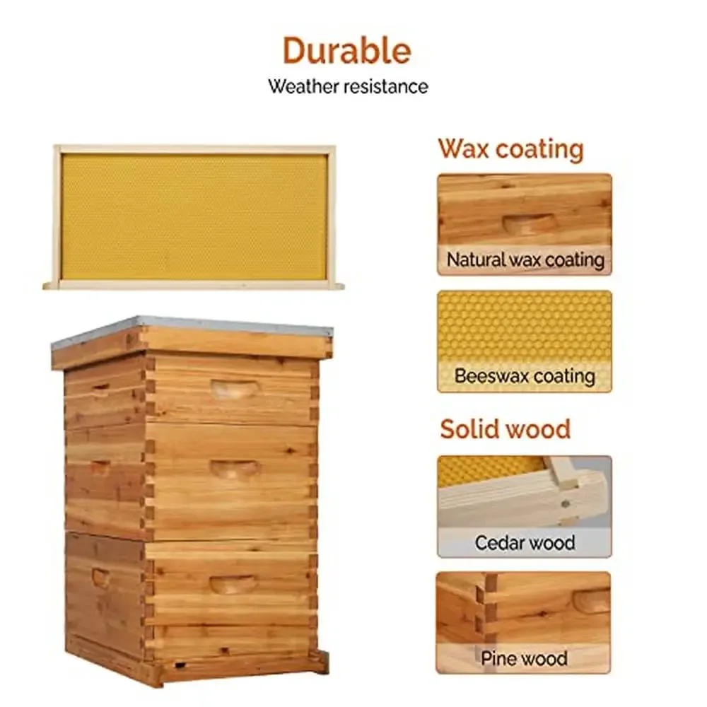 Wooden Bee Hive Kit 10-Frame Coated Beehive Starter Pack Frames Beeswax Foundation Sheets 3 Layer)