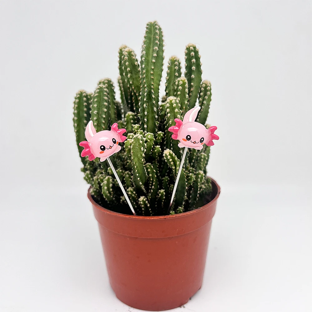 

Набор из 2 миниатюрных полимерных миниатюрных изделий Axolotl с 4-дюймовым длинным стержнем из нержавеющей стали, аксессуары для украшения сада в горшках и бонсая «сделай сам»