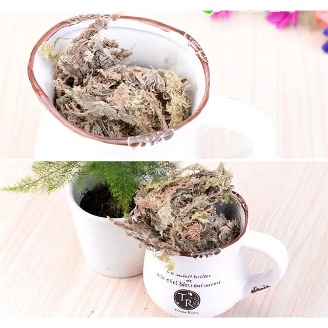 6L Sphagnum Moha Mohás Hidratáló Táplálkozás Bio Műtrágya Védje A Phalaenopsis Orchidea Zamatos Kertészeti Kerti Készleteket - Image 3