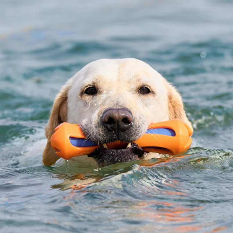 Floating Interactive Dog Water Toy Bite Resistant Aquatic Stick_voghion.com