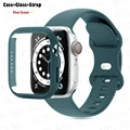 Pine green 06