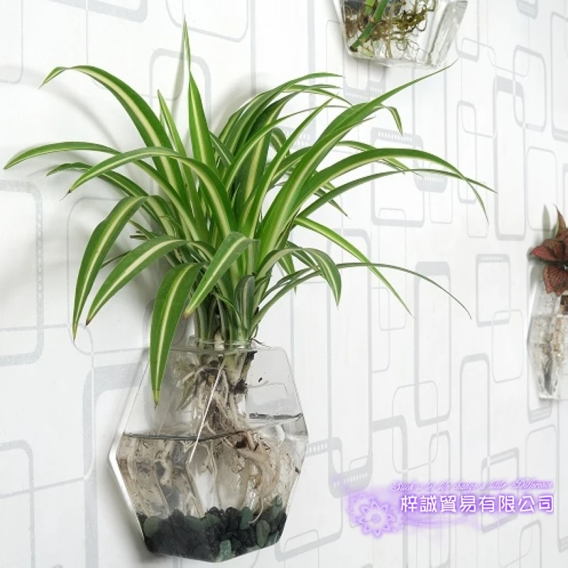Hexagon Vase Christmas Hexahedron Wall Terrarium Glass Flower Vase Wall Round Sphere Tabletop Vases Home Decoration Transparent 4