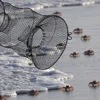 1Pcs Folding Round Nylon Mesh Metal Frame Collapsible Crayfish Crab Fish Trap Net Shrimp Lobster Cage Fishing Tackle Accessory 5