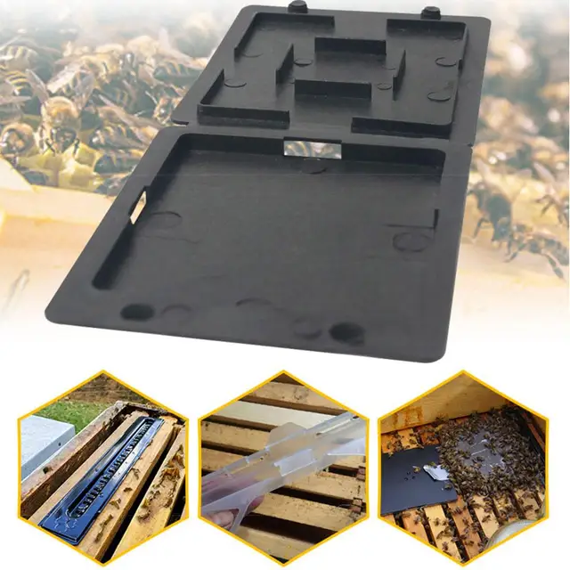 1Dcs Méhkas Méh Csapda Bogárgyűjtő Rovar Konténer Méhész Tároló Fészek Kaptár Toka - Image 3