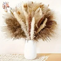 100Pcs Natural Fluffy Pampas Dried Flowers Bouquet