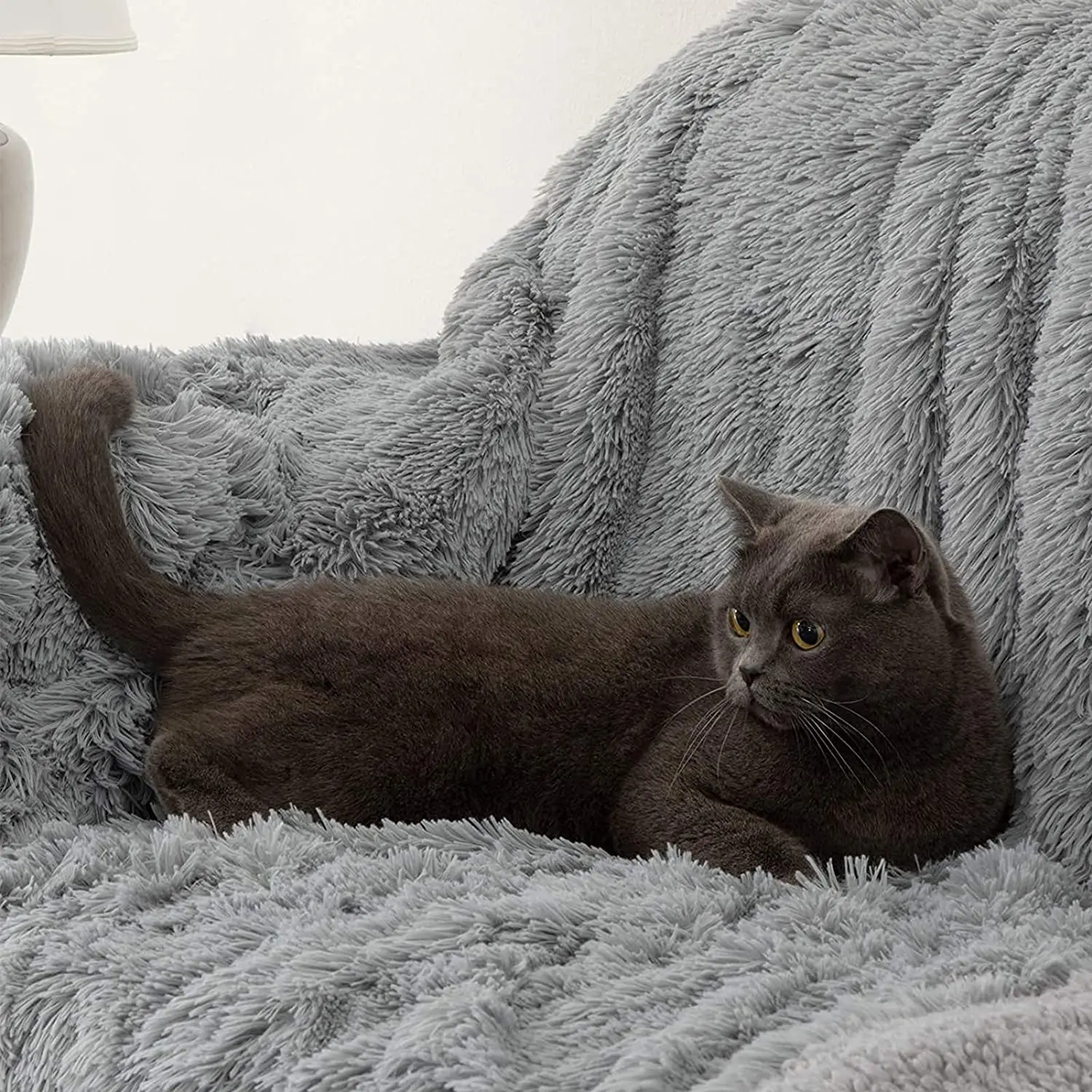 �β��� ���� ǫ���� ��� �÷��� ħ�뺸, ���� Ŀ�� ���� ����, ���� ��ũ, ������ ���, ������ ħ�� Ŀ��