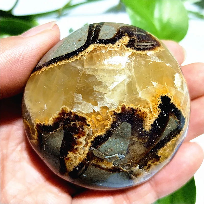 Натуральный камень Septarian Ceystal Пальма Исцеление колдовство энергетический дух фэн шуй отогнать злые украшения