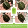 Amphibian Friendly Turtle Back Scrub Brush PVC Suction Cup Exfoliation Tool for Removing Shell Scutes and Promoting Shell Health 3