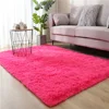 New Thick Carpet for Living Room Plush Rug Children Bed Room Fluffy Floor Carpets Window Bedside Home Decor Rugs Soft Velvet Mat 6