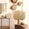 5Pcs Natural Dried Palm Leaves Tropical Dried Palm Fans Boho Dry Leaves Decor Kitchen Wedding 4