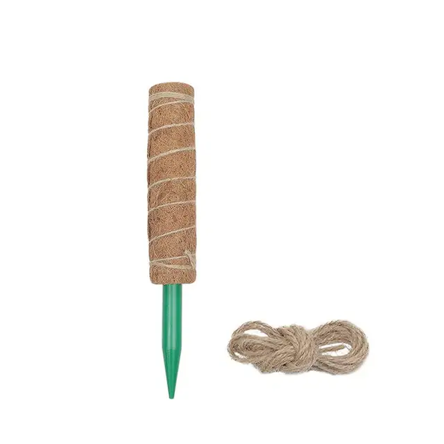 30CM